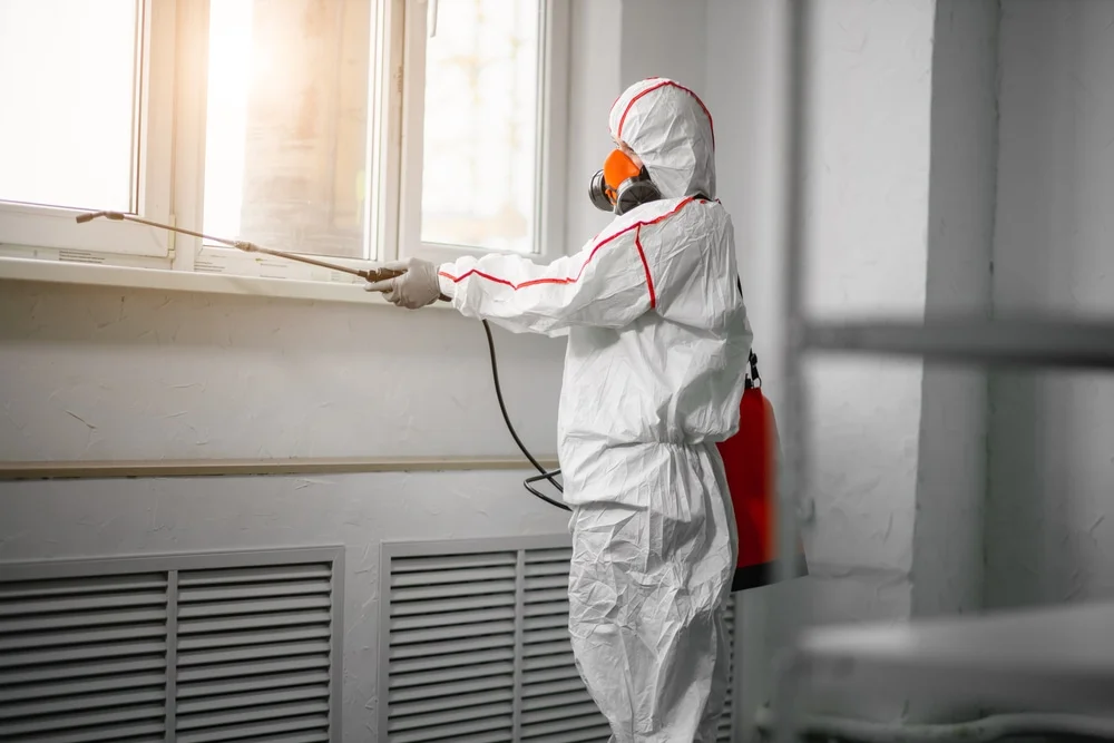 Professional mold remediation services in Gainesville, TX